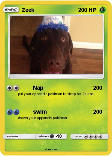 Pokemon Zeek
