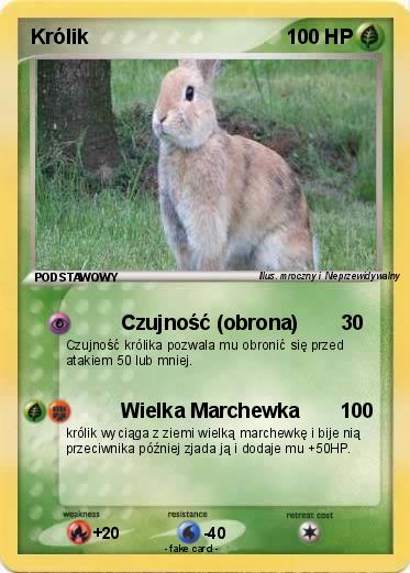 Pokemon Królik