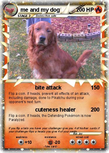Pokemon me and my dog