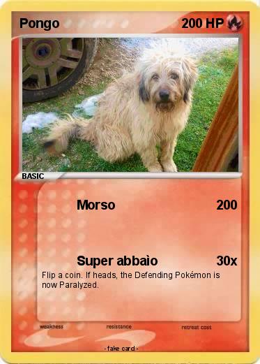 Pokemon Pongo