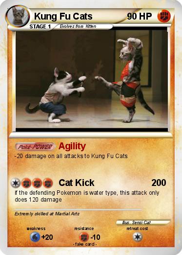 Pokemon Kung Fu Cats