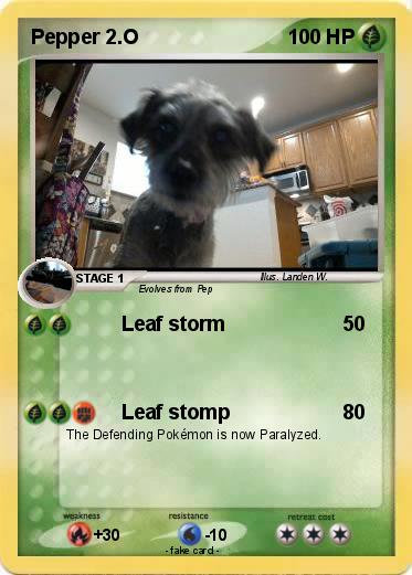 Pokemon Pepper 2.O