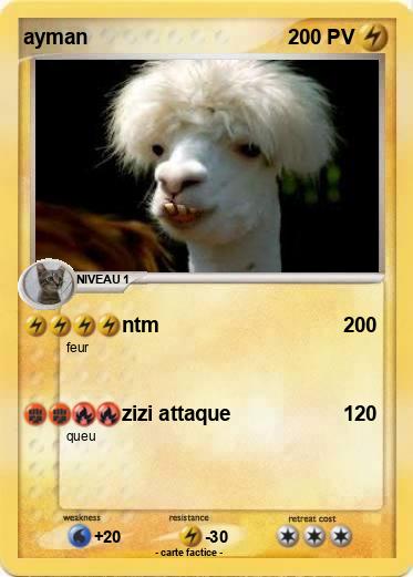 Pokemon ayman