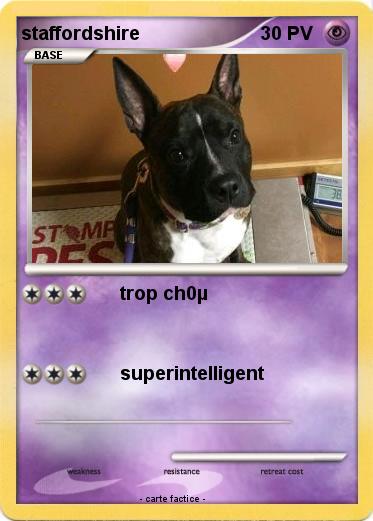 Pokemon staffordshire