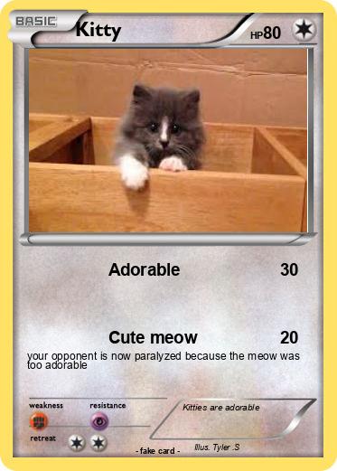 Pokemon Kitty