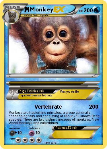 Pokemon Monkey
