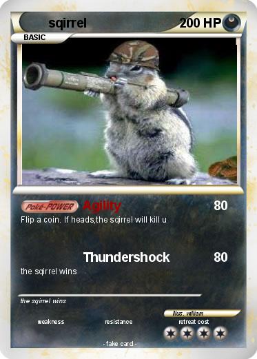 Pokemon sqirrel