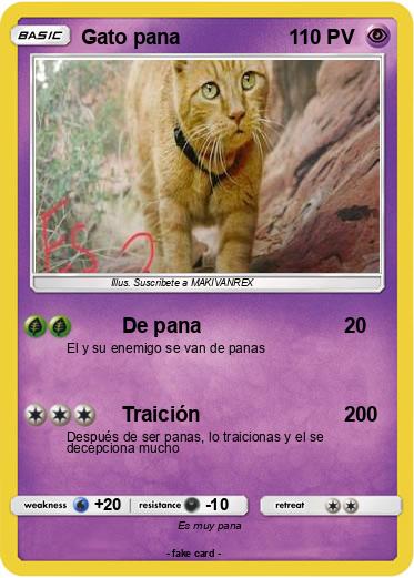 Pokemon Gato pana