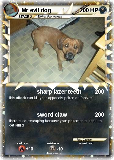Pokemon Mr evil dog