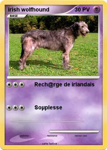 Pokemon irish wolfhound