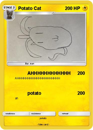 Pokemon Potato Cat