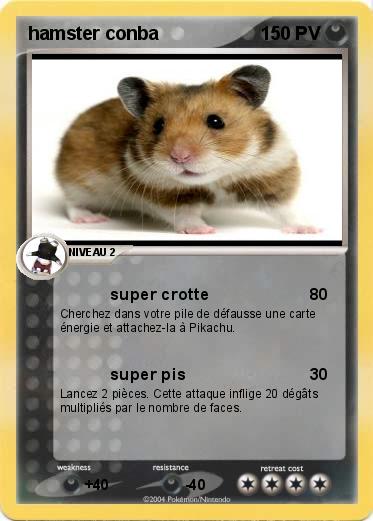 Pokemon hamster conba