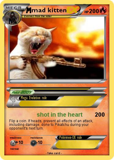 Pokemon mad kitten