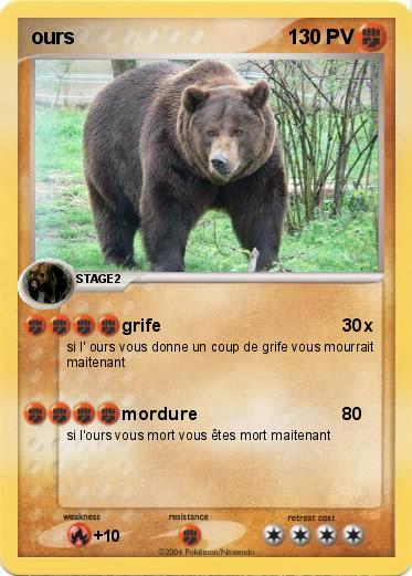 Pokemon ours