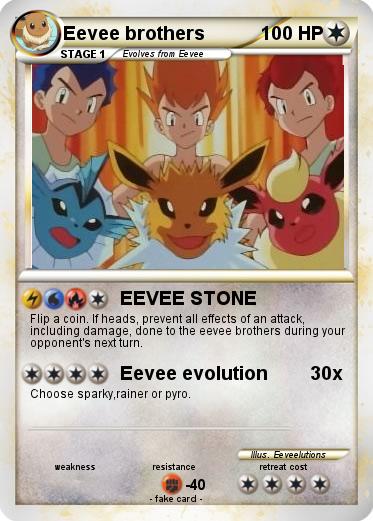 Pokemon Eevee brothers