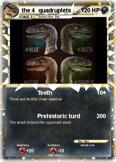 Pokemon the 4  quadruplets