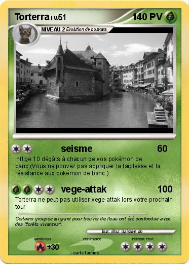 Pokemon Torterra
