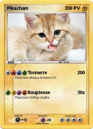 Pokemon Pikacham