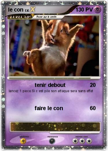 Pokemon le con