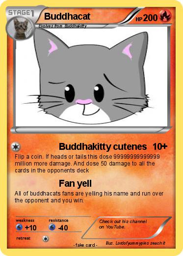 Pokemon Buddhacat