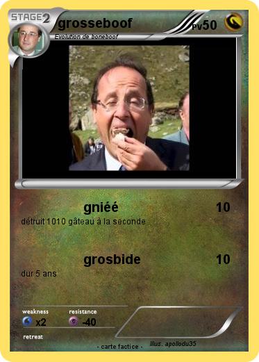 Pokemon grosseboof