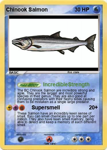 Pokemon Chinook Salmon