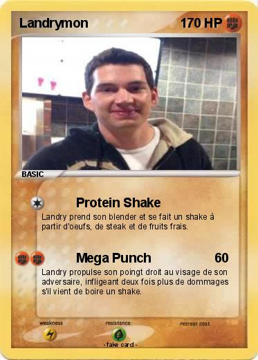 Pokemon Landrymon