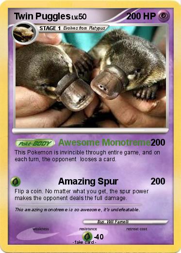 Pokemon Twin Puggles