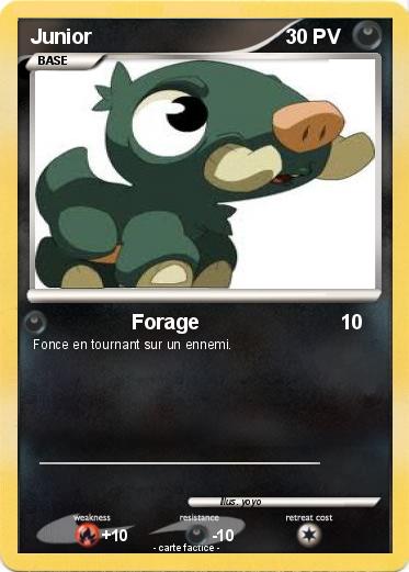 Pokemon Junior