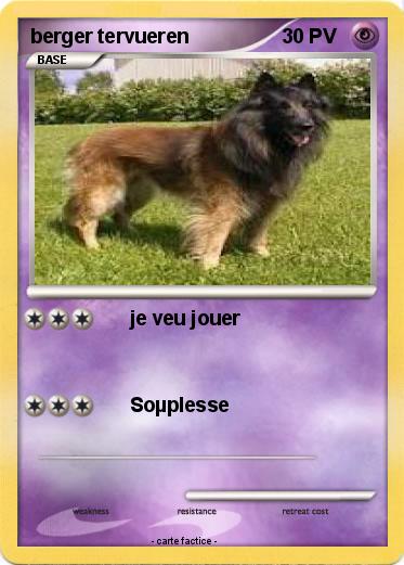 Pokemon berger tervueren