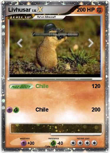 Pokemon Livhusar