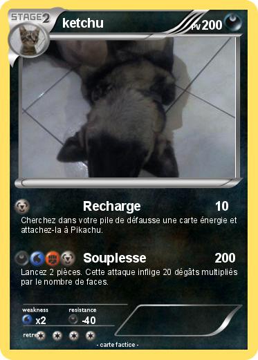 Pokemon ketchu