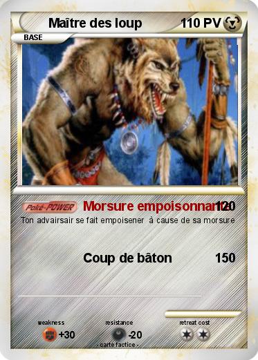 Pokemon Maître des loup