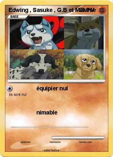 Pokemon Edwing , Sasuke , G.B et Mélanie