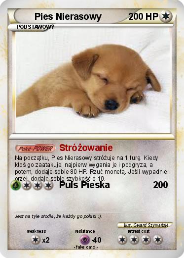 Pokemon Pies Nierasowy