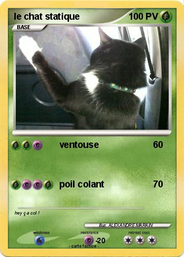 Pokemon le chat statique