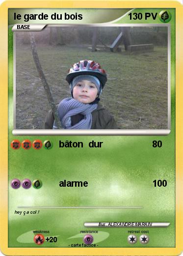 Pokemon le garde du bois