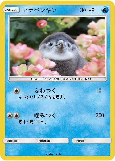 Pokemon ヒナペンギン