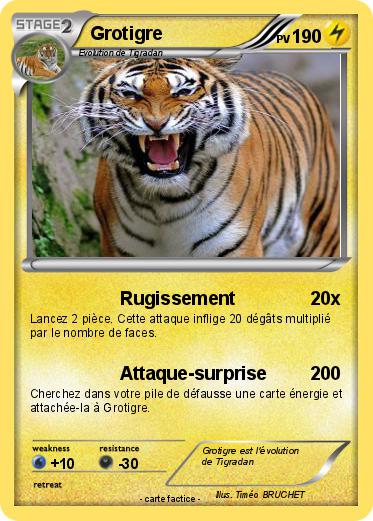 Pokemon Grotigre