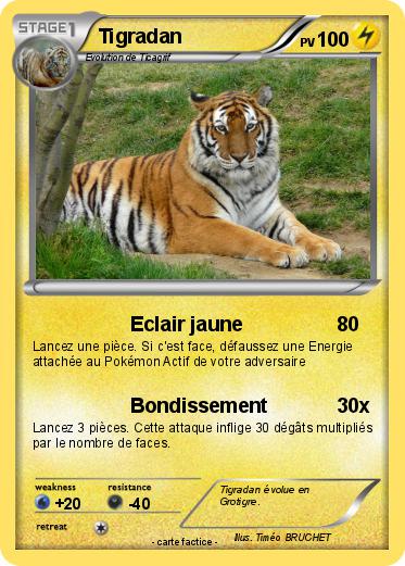 Pokemon Tigradan