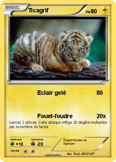 Pokemon Ticagrif