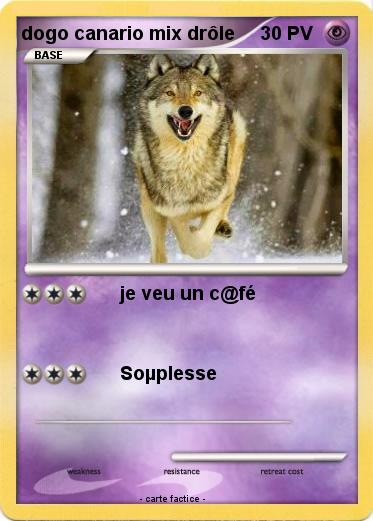Pokemon dogo canario mix drôle