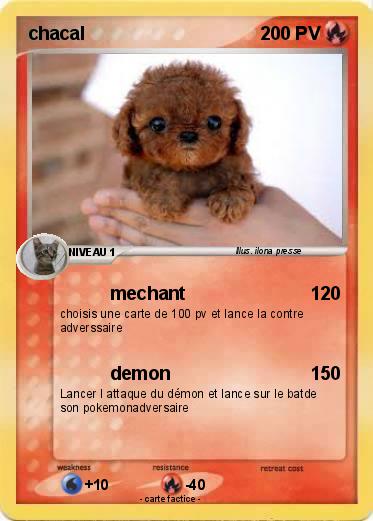 Pokemon chacal