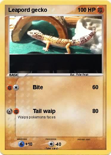 Pokemon Leapord gecko