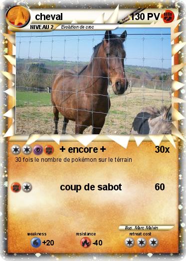 Pokemon cheval