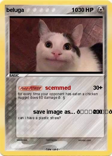 Pokemon beluga                               10