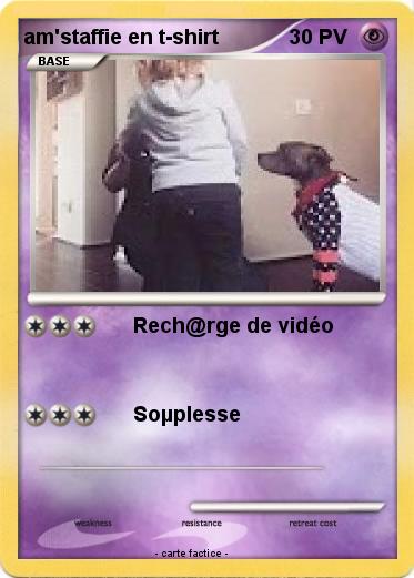 Pokemon am'staffie en t-shirt