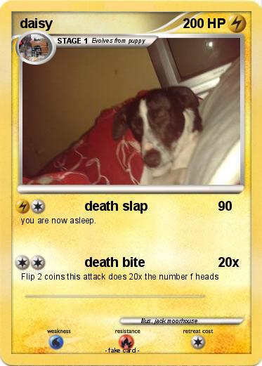 Pokemon daisy