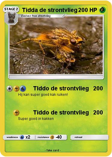 Pokemon Tidda de strontvlieg