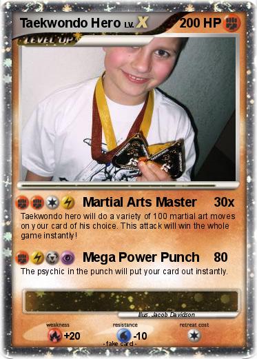 Pokemon Taekwondo Hero